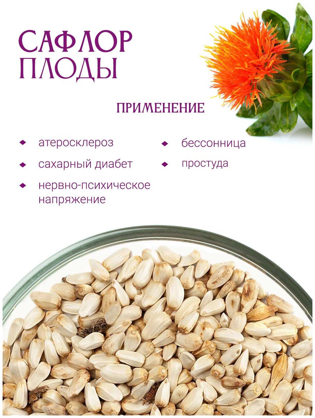 Растение синеголовник: фото, сорта, выращивание, посадка и уход в открытом грунте
