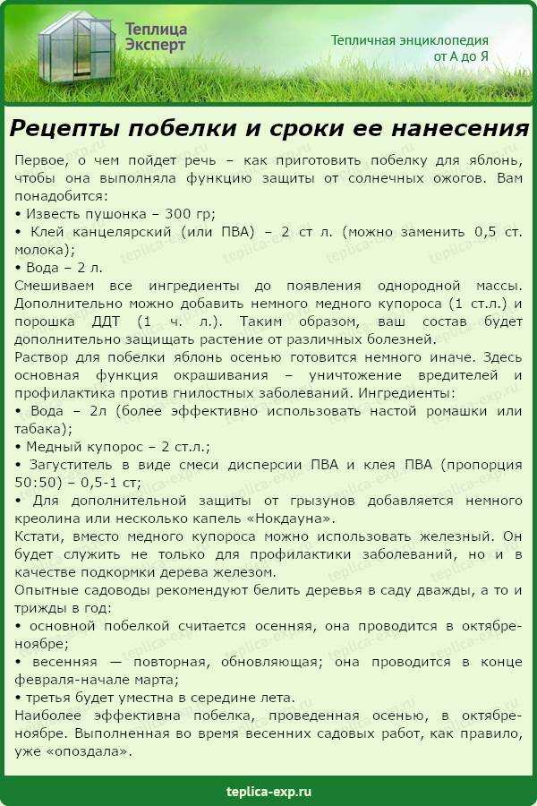 Когда опрыскивать яблони от вредителей: советы опытных садоводов