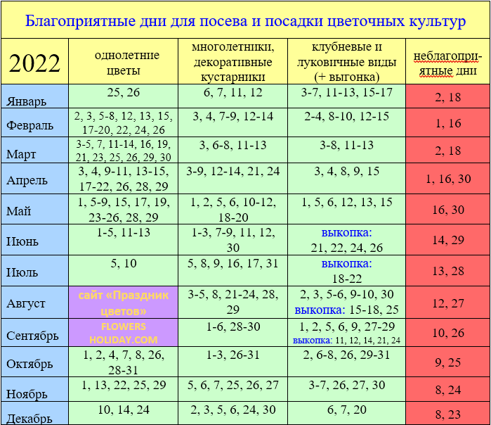 Лунный посевной календарь на февраль 2024 года садовода и огородника