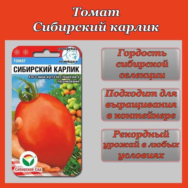 Самые низкорослые (супердетерминантные) томаты: лучшие сорта для открытого грунта и теплицы