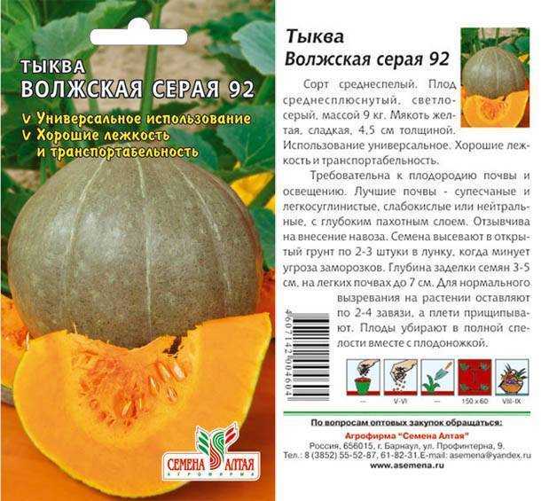 О тыкве Волжская серая 92 описание и фото отзывы огородников характеристика сорта достоинства и недостатки особенности выращивания