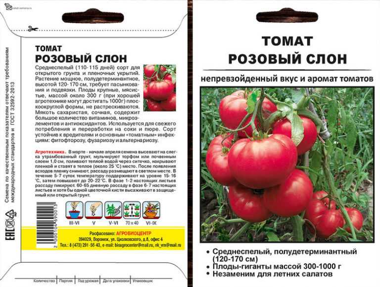 Томат "розовый слон": характеристика и описание сорта, отзывы, фото