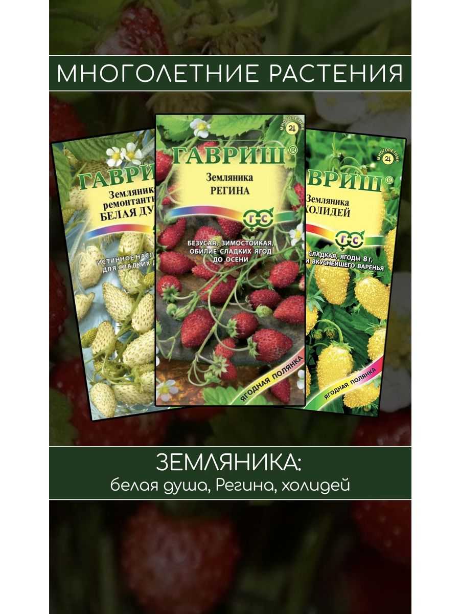 Земляника ремонтантная желтое чудо выращивание из семян когда сажать