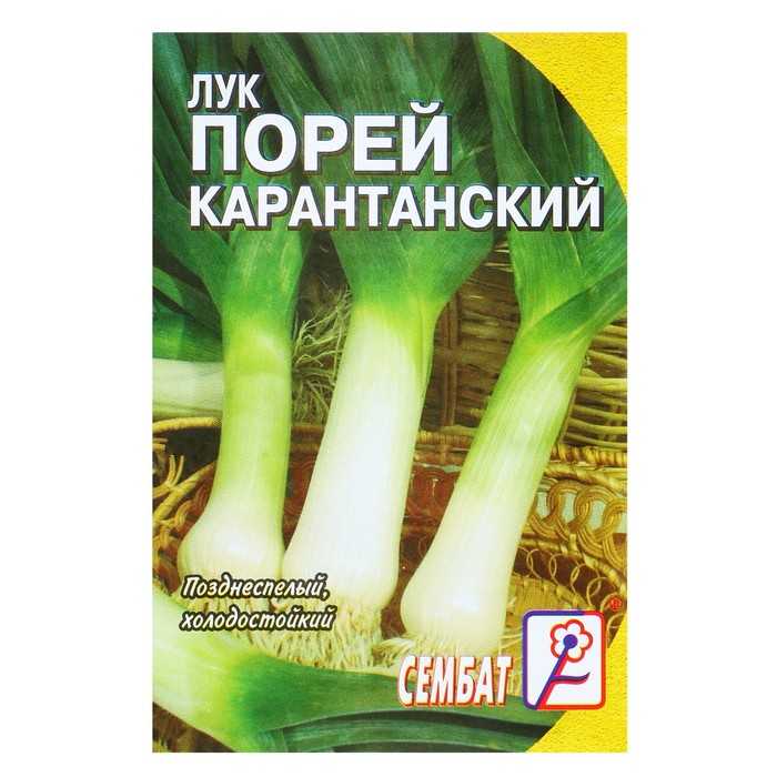 Лук-порей сорта карантанский. особенности выращивания, описание и отзывы