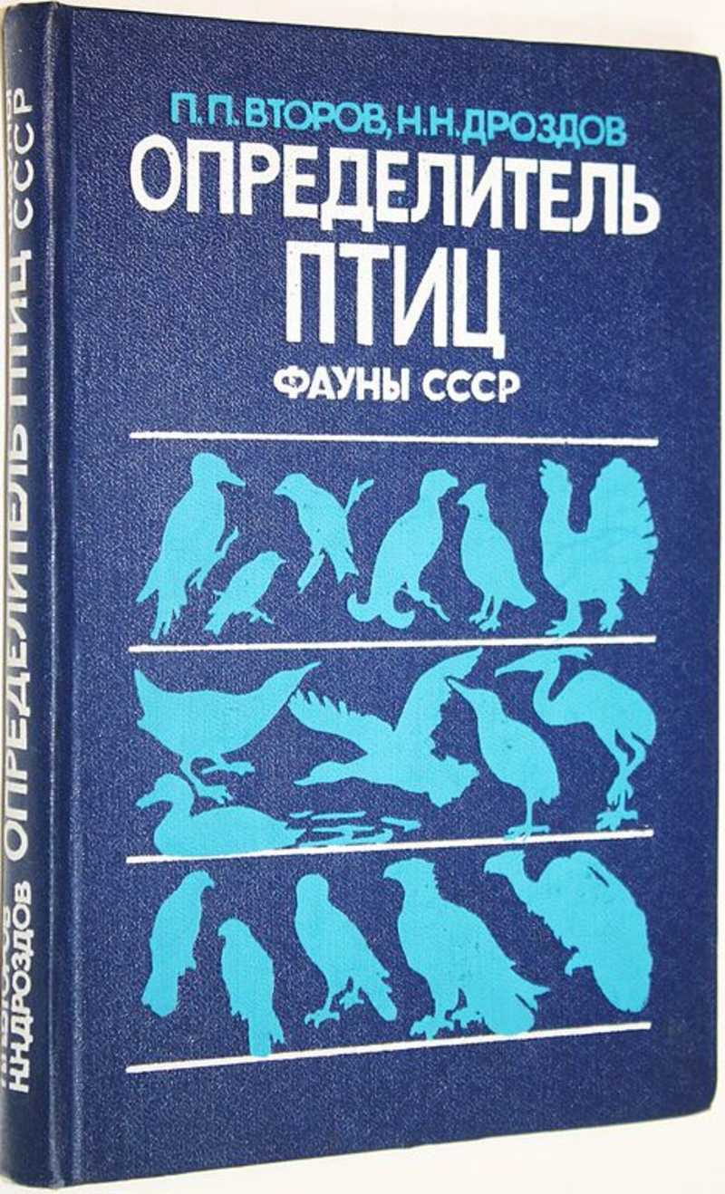 Домашние птицы: редкие, неприхотливые, умные и другие