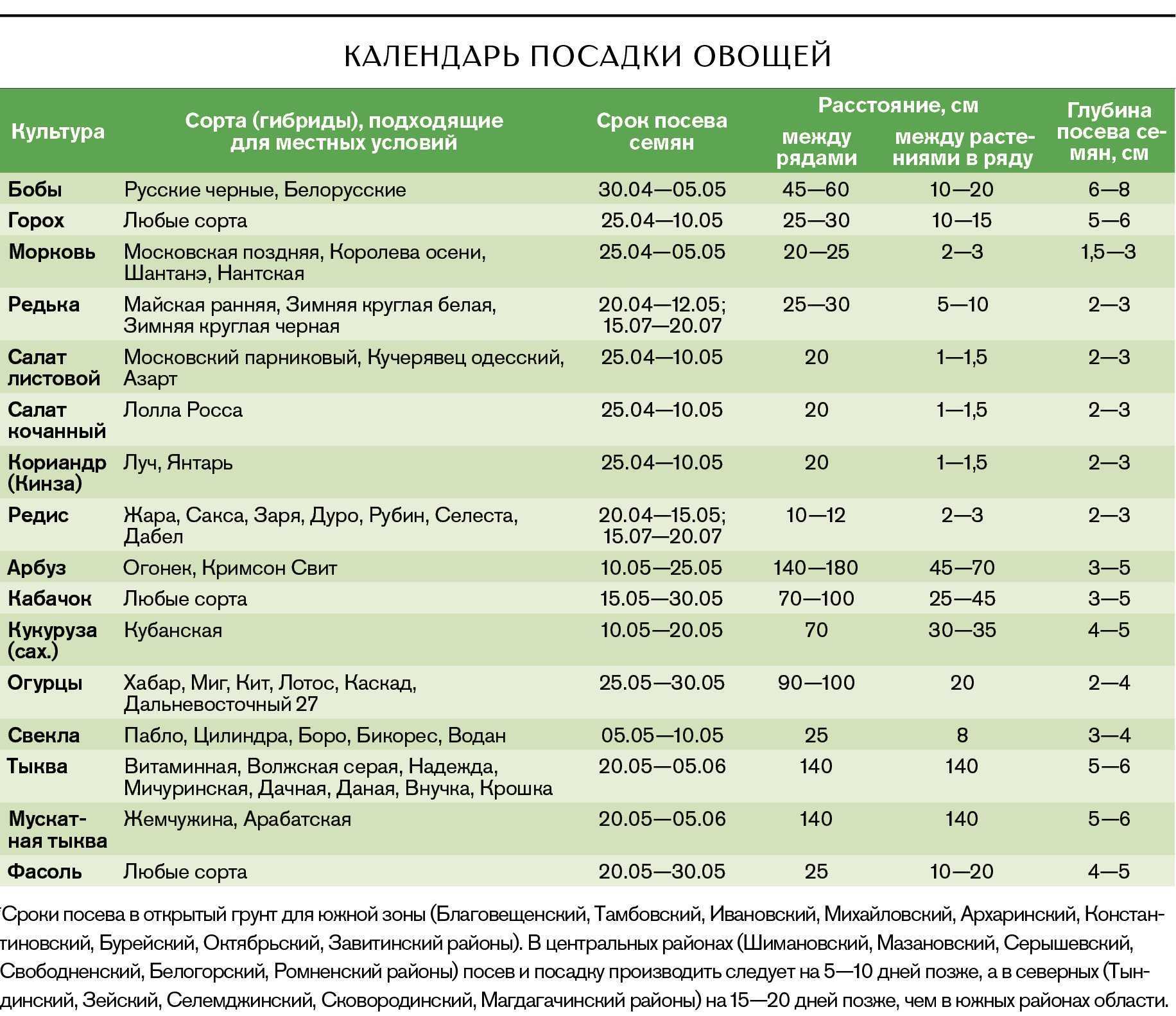Когда сажать рассаду в 2024 году: лунный календарь, что важно знать