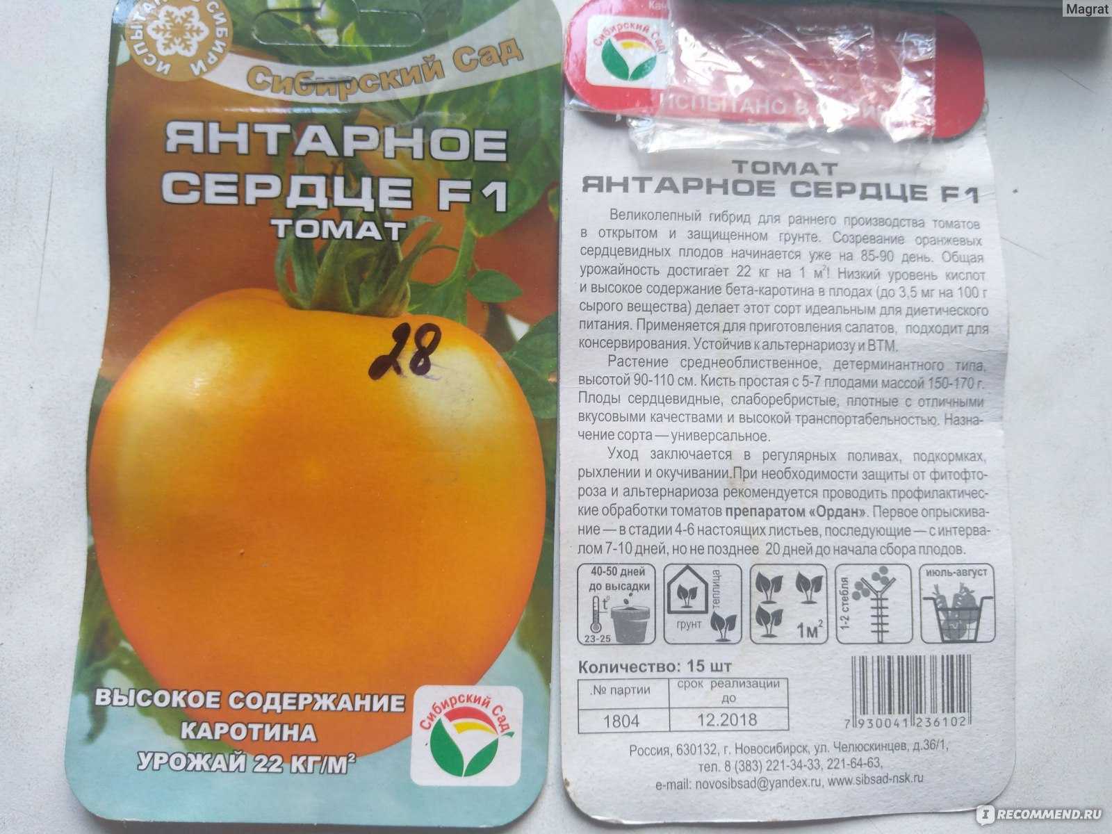 Томат янтарный: описание сорта, характеристика, отзывы, фото