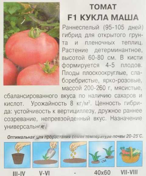 Томат кукла: характеристика и описание сорта, отзывы дачников с фото