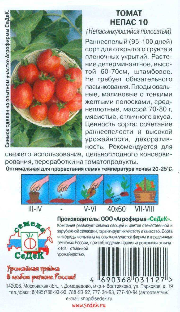 Томат мечта огородника: характеристика и описание гибридного сорта с фото