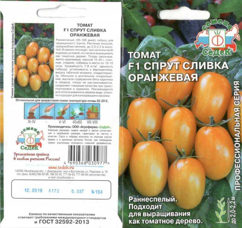 Томат спрут сливка: описание, выращивание, уход, фото