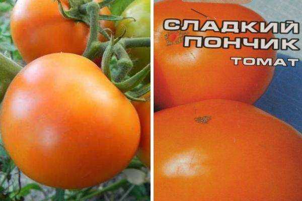 Томат детская сладость: описание сорта, характеристика, отзывы об урожайности, фото