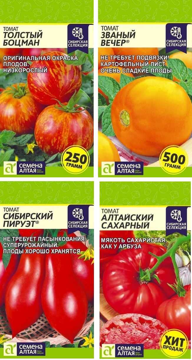 Томат толстый боцман: описание и характеристика сорта, отзывы, фото, урожайность | цветок в доме