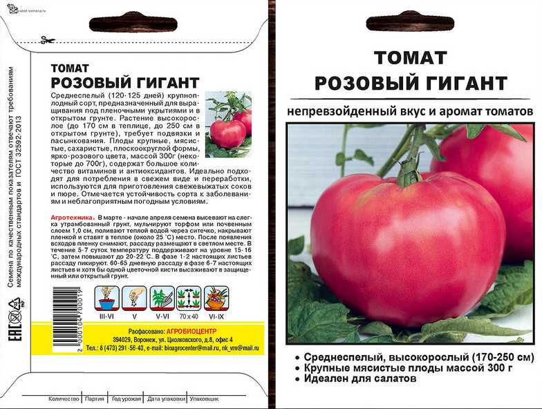 Проверенный временем томат «титан» для выращивания в открытом грунте