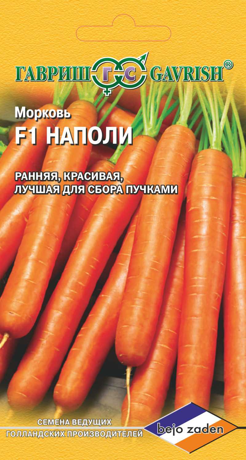 Сортотипы моркови