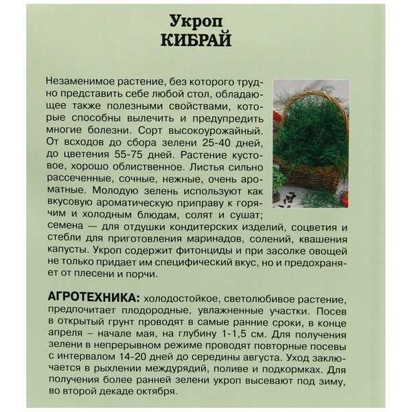 Укроп кибрай: описание сорта, отзывы, правила выращивания и ухода с фото