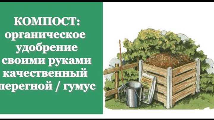 Самый полезный компост из опавшей листвы. хитрости приготовления