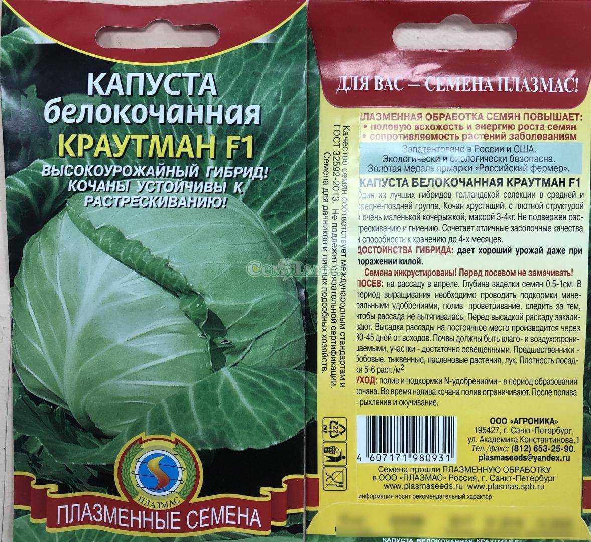 Капуста краутман: описание сорта, фото, отзывы