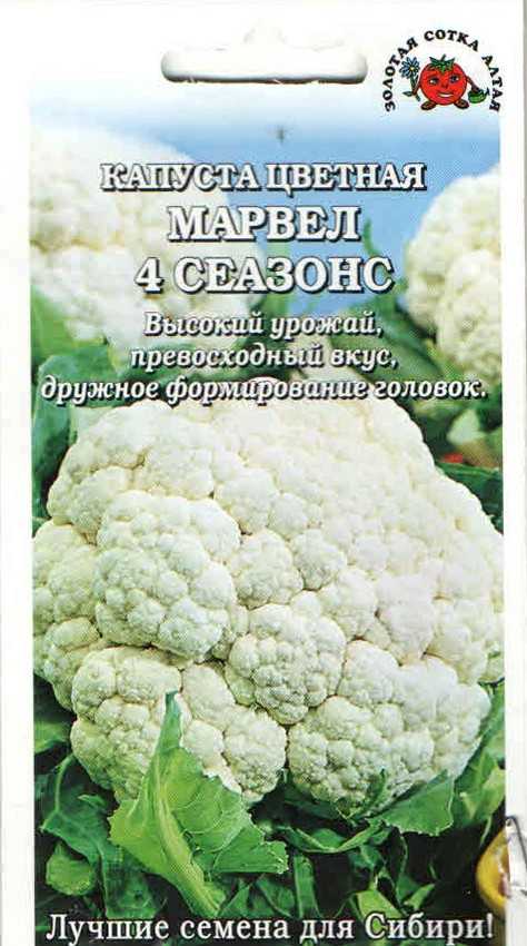 Лучшие сорта капусты на 2024 год: самые урожайные, вкусные, для разных регионов