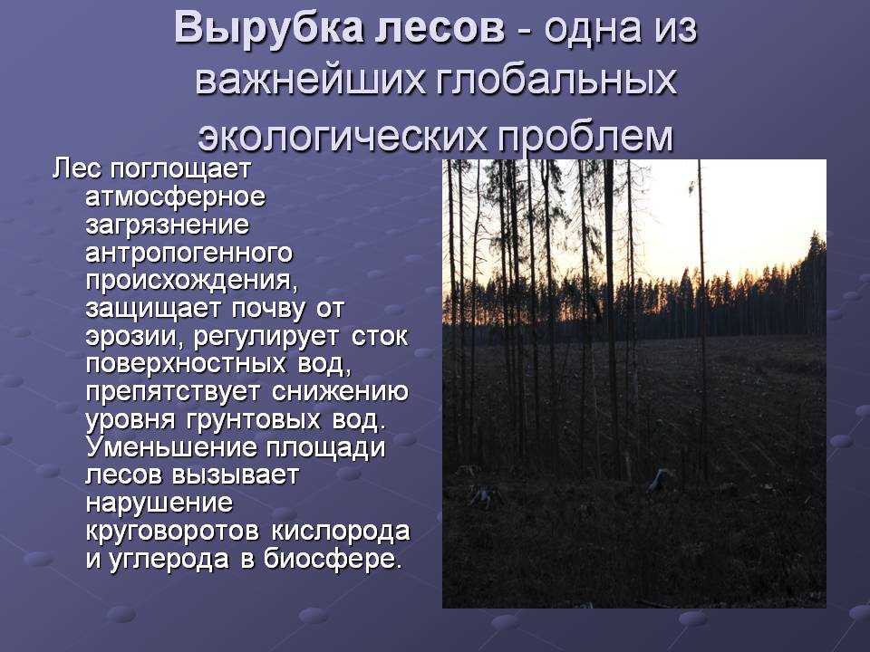 Грунт для цветов делаем сами: состав и советы | flowery-blog
