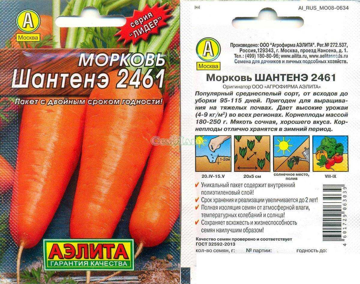 Морковь шантане: описание сорта, фото, отзывы, выращивание и хранение