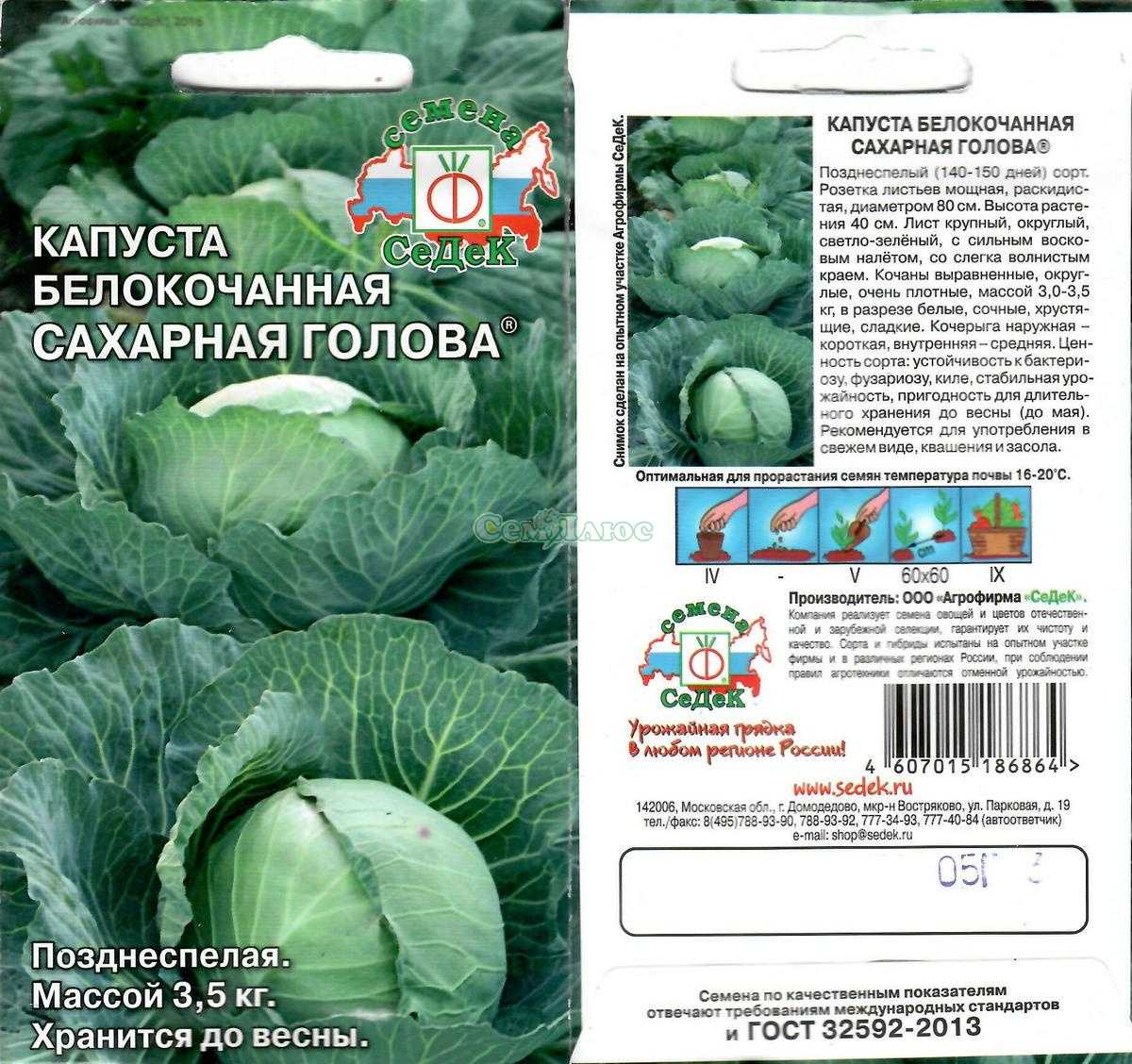 Сорт капусты харьковская зимняя: описание сорта - огород-365