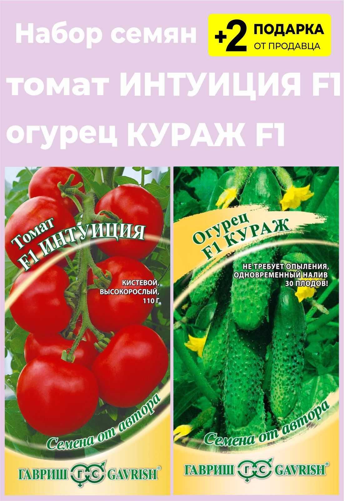 13 проверенных сортов томатов, которые я рекомендую посадить. описание и фото — ботаничка