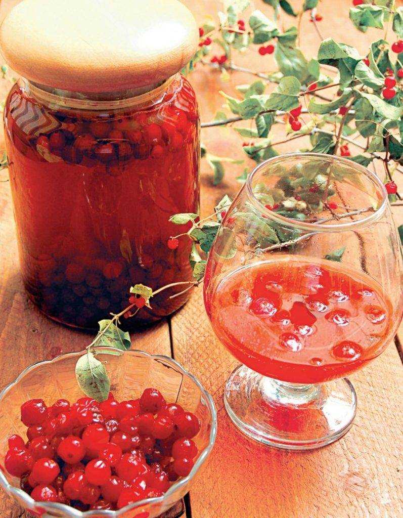 Компот с калиной рецепты