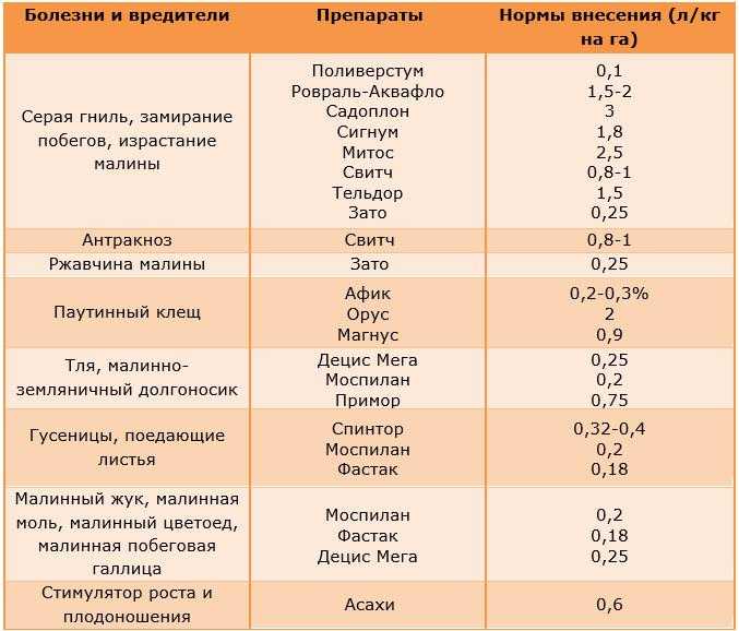 Уход за клубникой ранней весной и летом, подкормки народными средствами