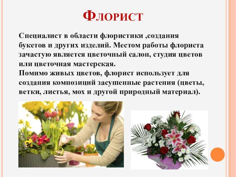 Профессия флорист: описание, плюсы и минусы, зарплата