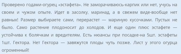 Лучшие сорта салатных огурцов: их выращивание и описание