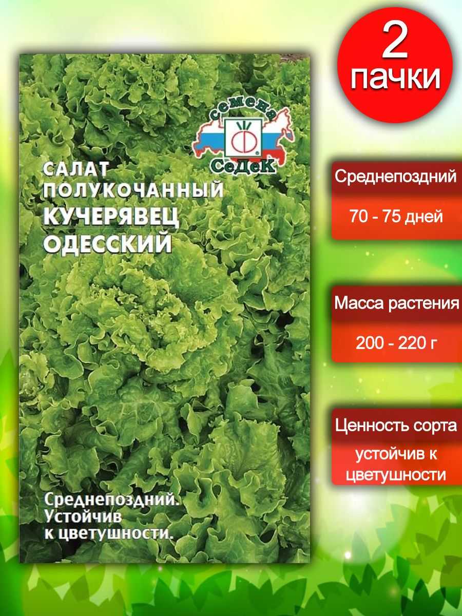 Сорта салата для подмосковья для открытого грунта - ogorod.guru