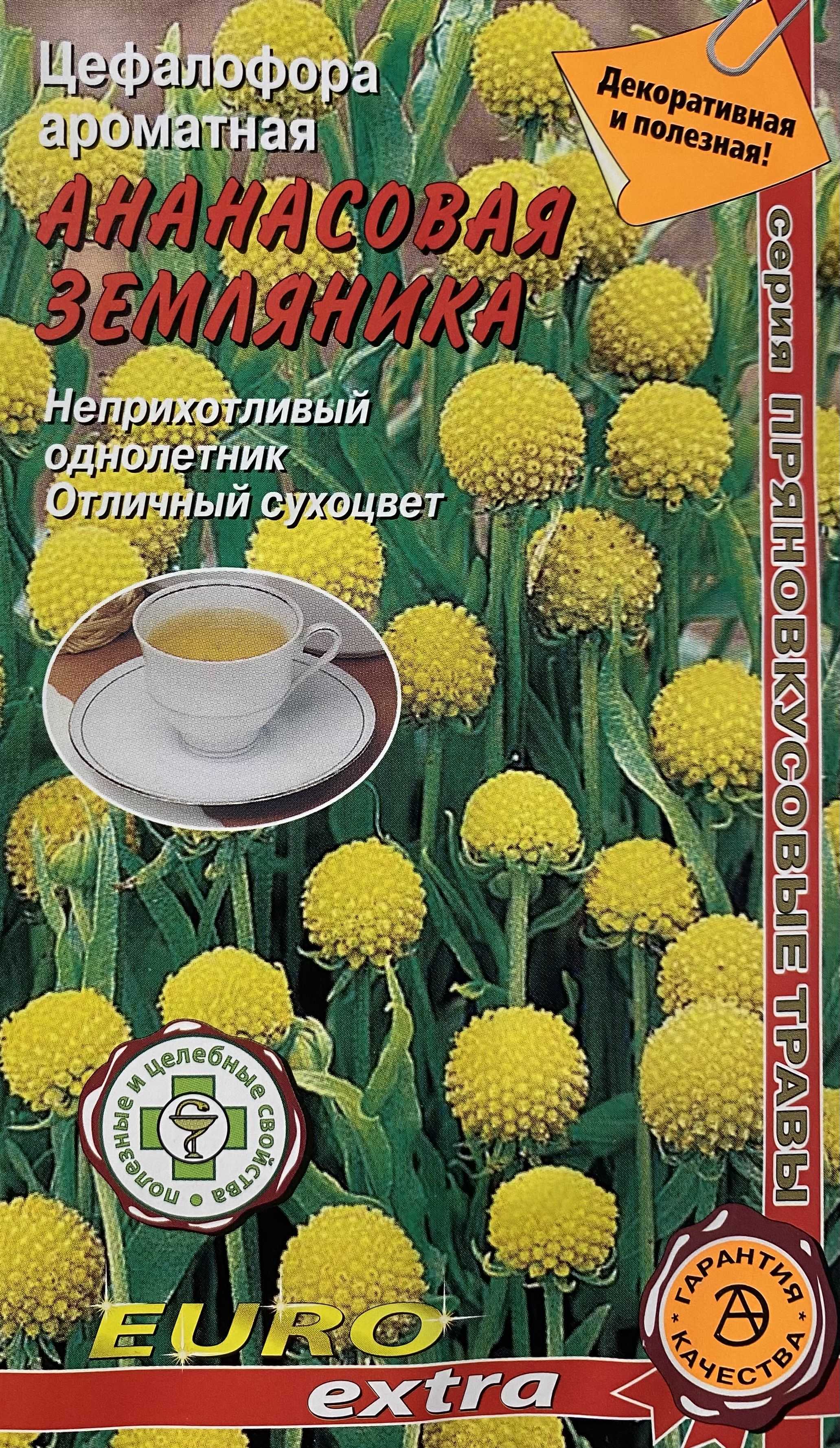 Земляничная трава или цефалофора. цефалофора ароматная: земляника и ананас в одном растении