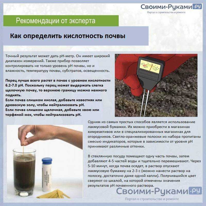 Сидераты для снижения кислотности почвы на дачном участке