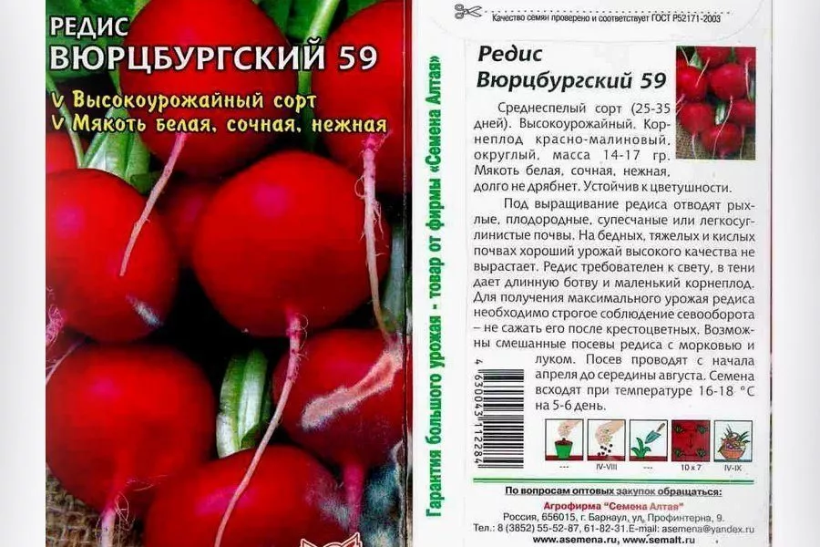 Как получить ранний урожай редиса в необогреваемой теплице, обзор сортов