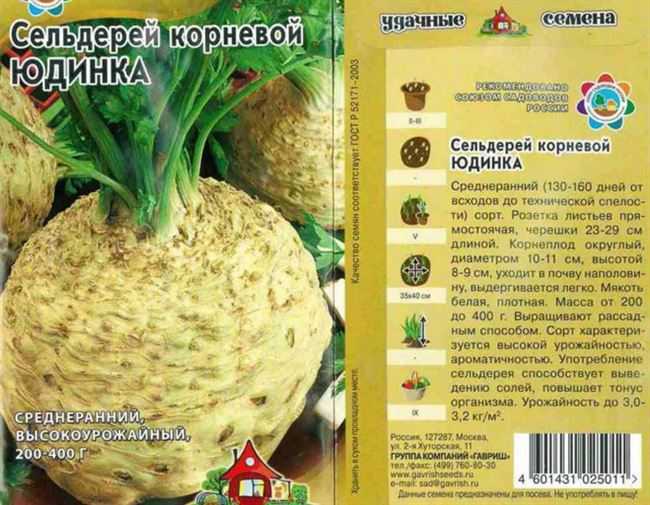 Сельдерей - выращивание сельдерея, лучшие сорта - сад 6 соток