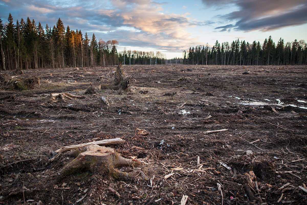 Грунт для цветов делаем сами