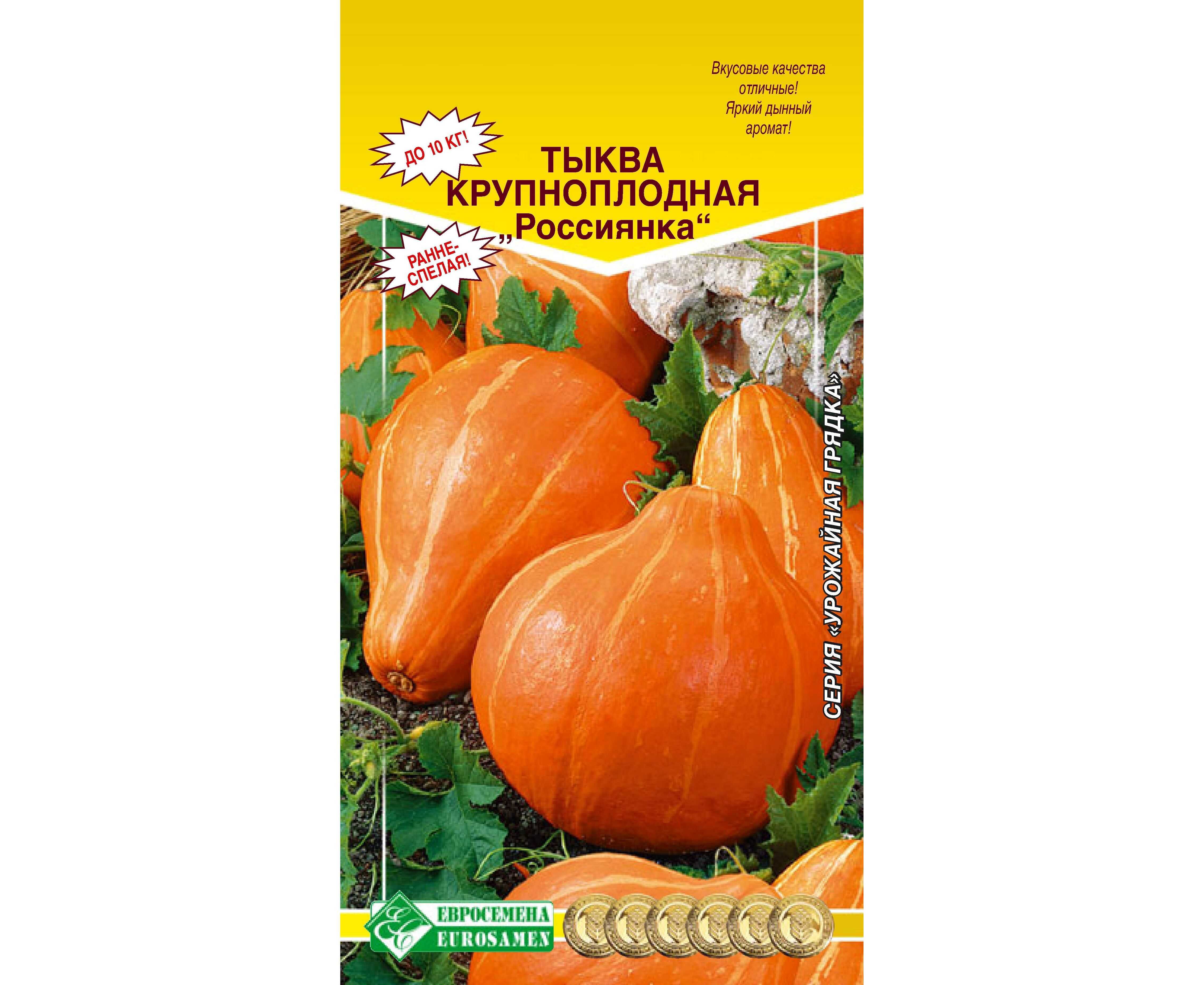 Тыква россиянка посадка уход