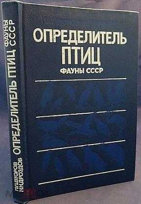Всё, что вы должны знать перед покупкой птицы