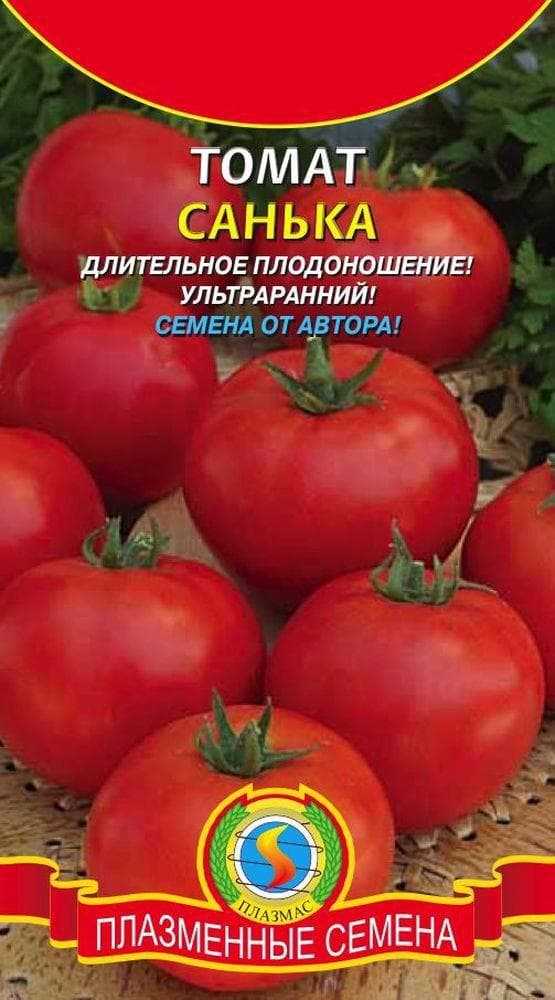 Описание сорта помидор санька