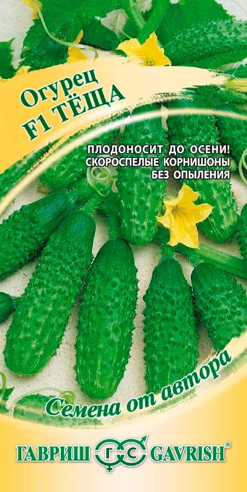 Популярный сорт огурцов теща. мнение и отзывы садоводов на этот сорт огурца.