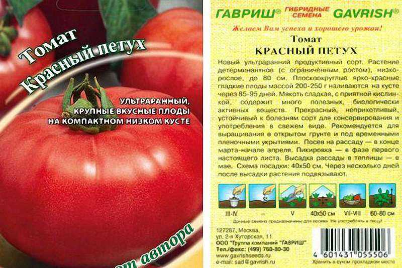 Томат «палка» — удивительный, уникальный и… бесполезный?