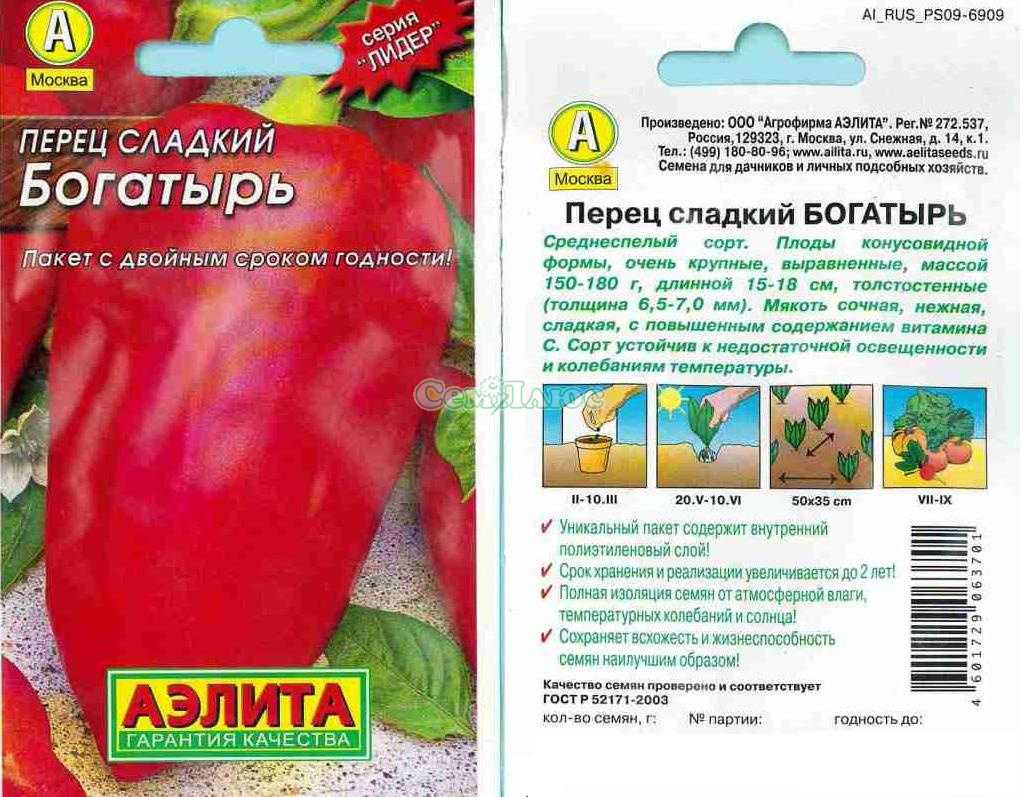 Перец богатырь: отзывы, фото, описание сорта сладкого болгарского перца, урожайность, посадка и уход, выращивание в открытом грунте, теплице