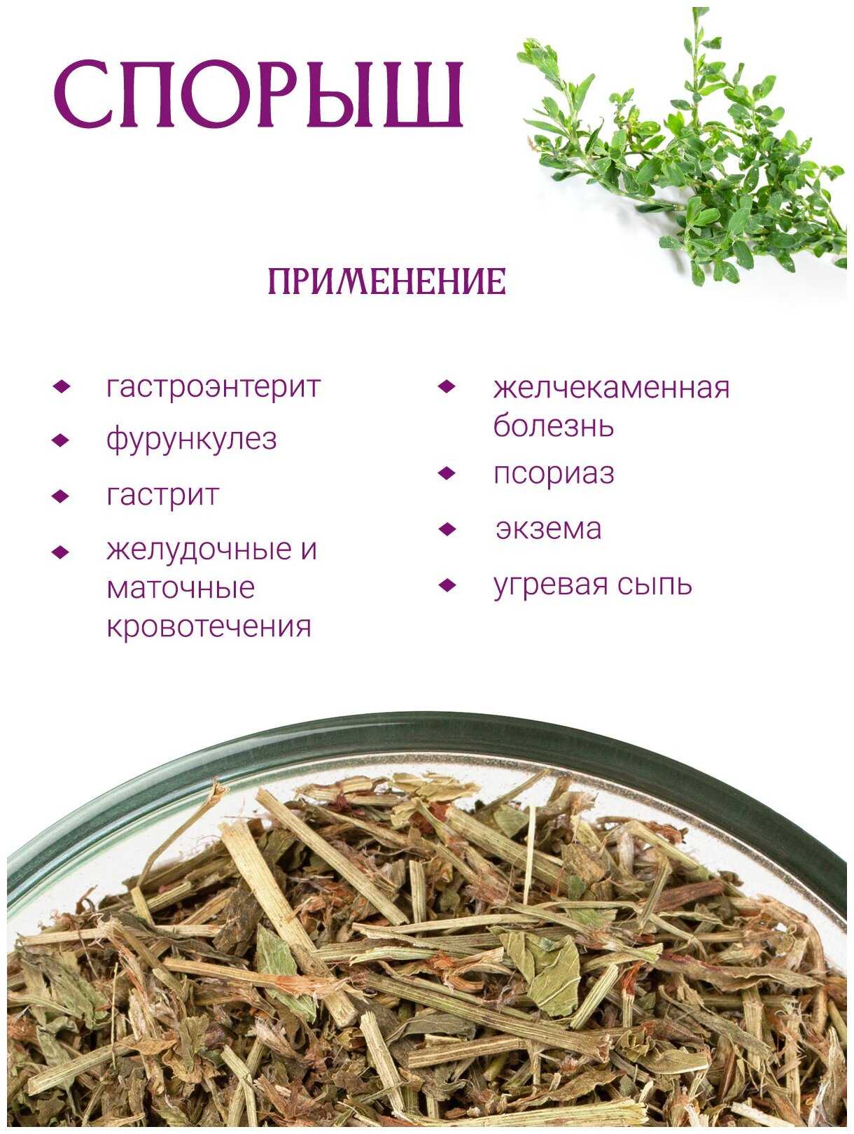 Горец птичий (спорыш) - лечебные свойства и противопоказания. лечение, применение и фото горца птичьего.