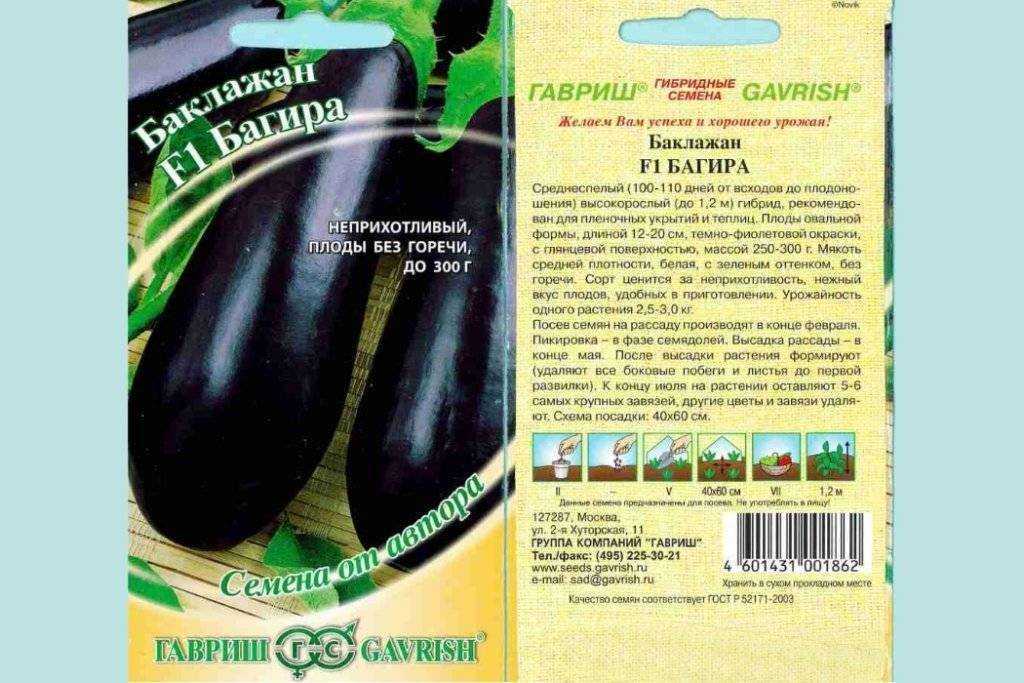 Сорт баклажанов черный красавец - описание и характеристика, фото