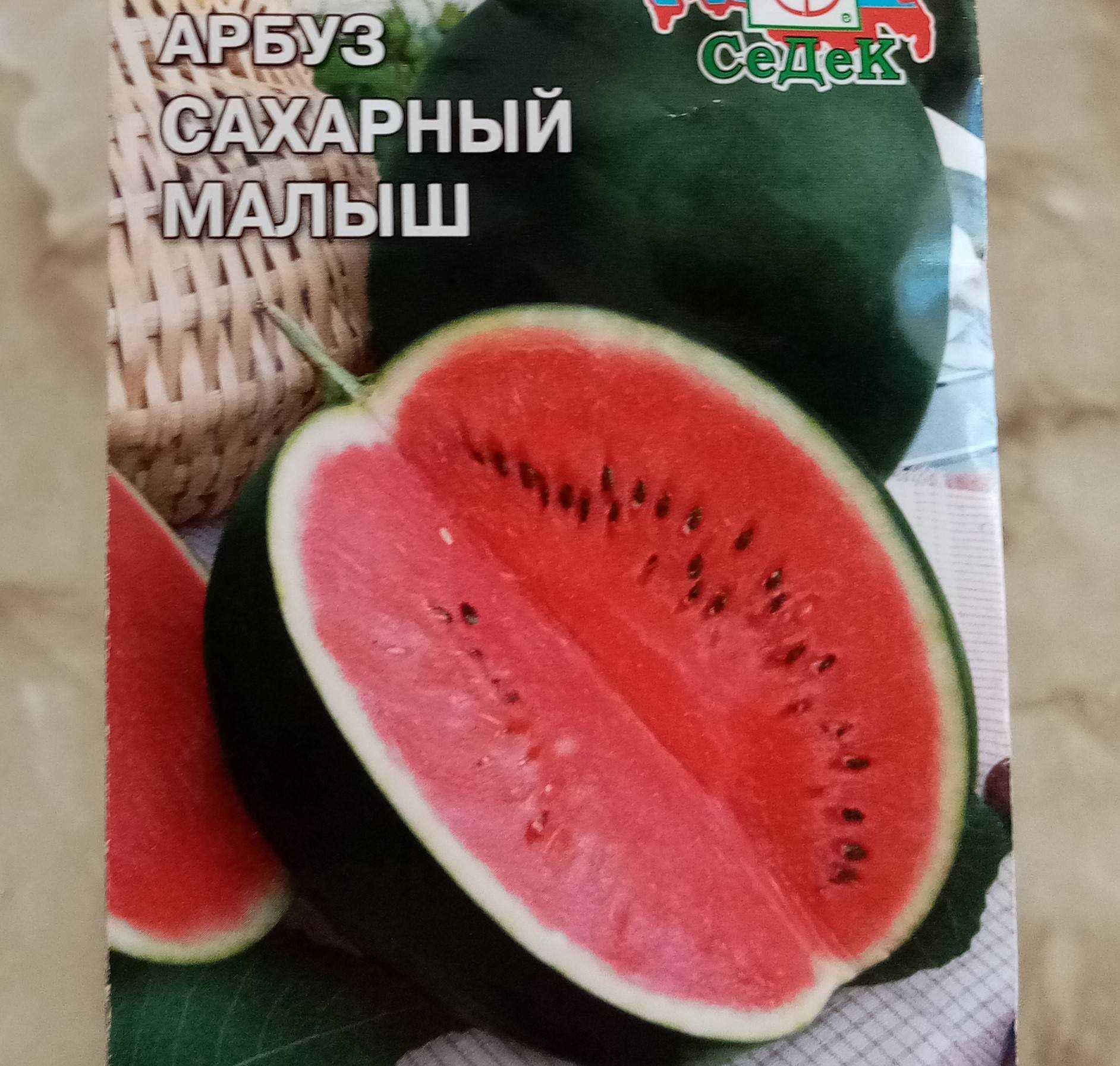 Арбуз сахарный малыш: описание и характеристики сорта, выращивание в открытом грунте, отзывы