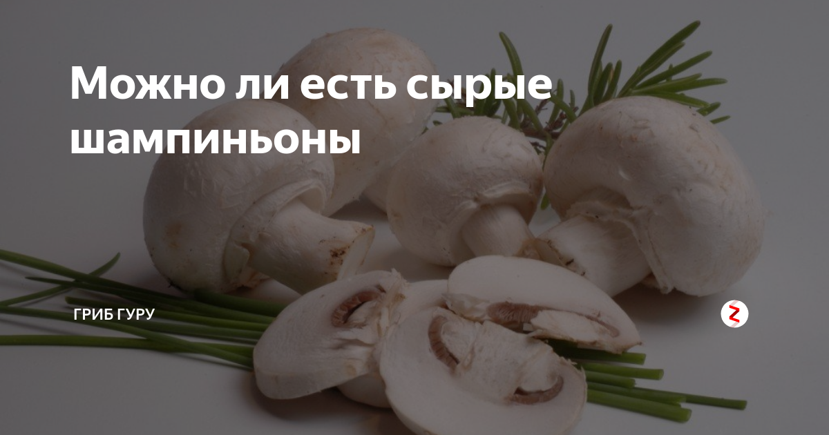 Вешенки в сметанном соусе