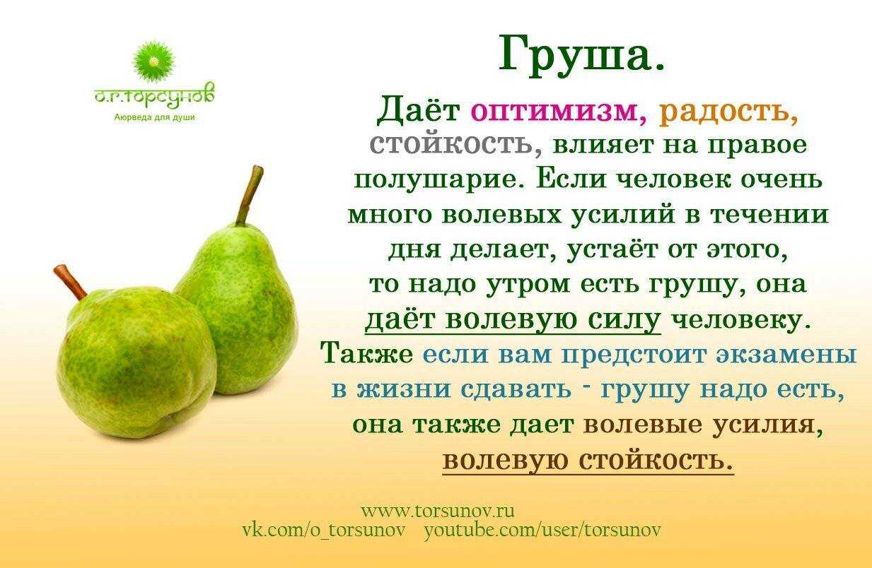 Самая морозостойкая груша — уссурийская