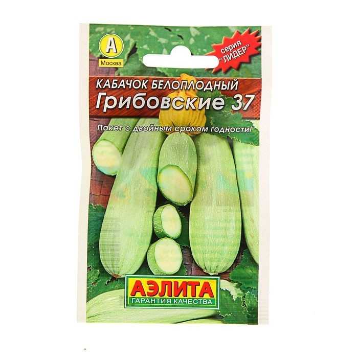 Кабачок грибовский 37 - описание сорта и уход за ним