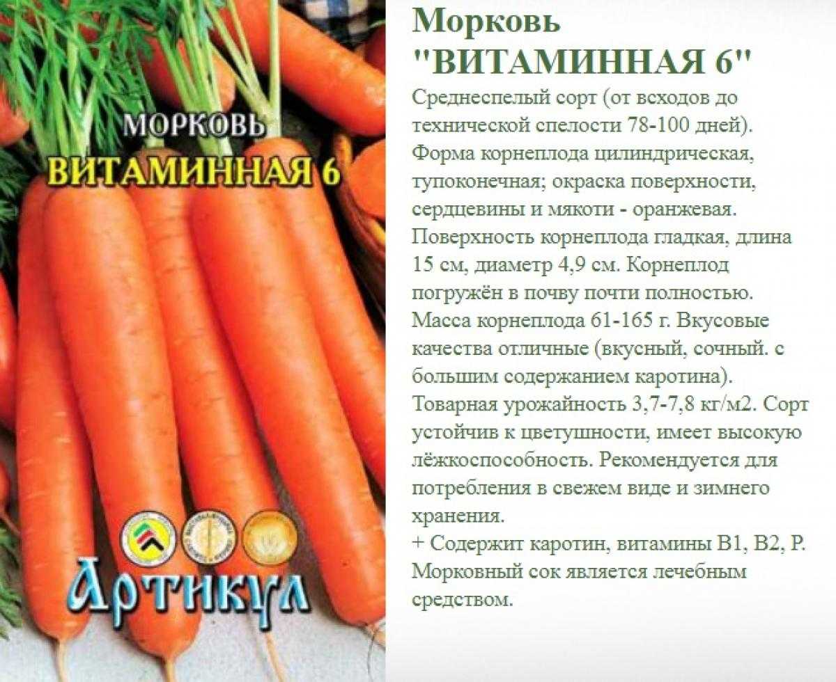 Семена моркови, лучшие сорта для открытого грунта - фермер без хлопот - фермер без хлопот