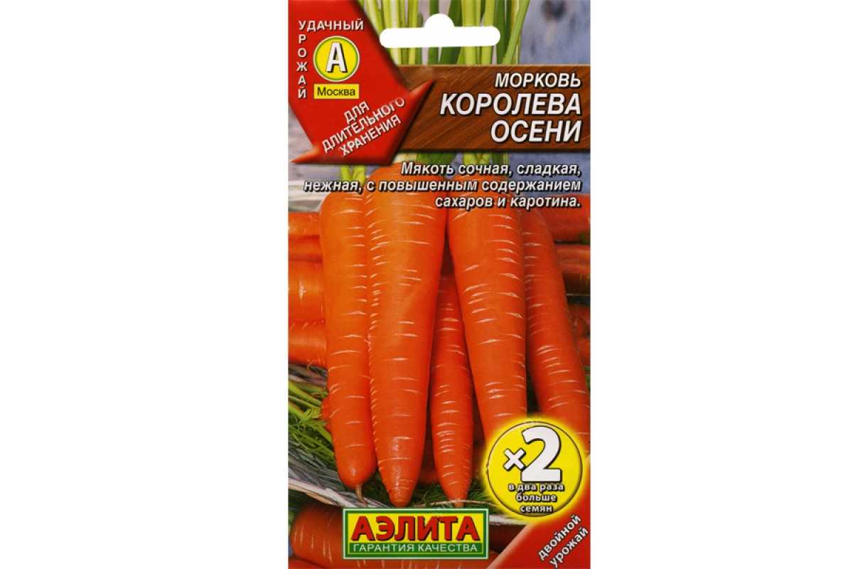 Морковь королева осени: описание позднего сорта с отзывами и фото